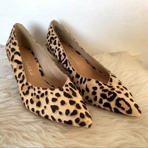 Matisse “Chateau” Kitten Heel. Size: 6. Excellent condition. Dyed Pony Hair